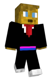 pbnj9 Minecraft avatar full body