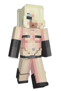 pc2 Minecraft avatar full body