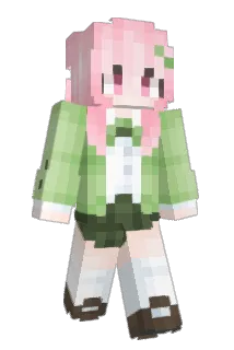pct1208 Minecraft avatar full body