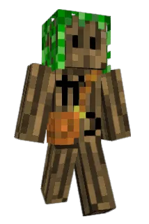 pcverkatu Minecraft avatar full body