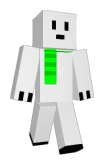 pds9528 Minecraft avatar full body