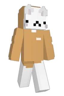 peanut6576 Minecraft avatar full body