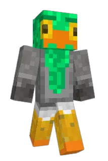 peanutseagull Minecraft avatar full body