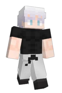 peded Minecraft avatar full body