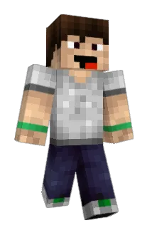 peetak Minecraft avatar full body