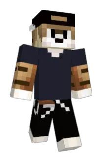 peetolli Minecraft avatar full body