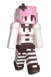 peilcan Minecraft avatar full body