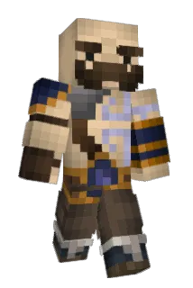 pel14 Minecraft avatar full body
