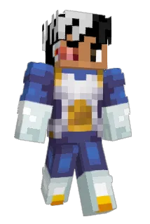 pellekage Minecraft avatar full body