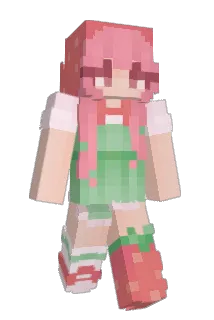 peltoretikka Minecraft avatar full body