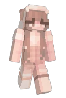 pengu1nari Minecraft avatar full body
