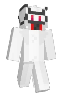 pengu54324 Minecraft avatar full body