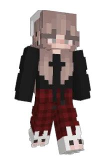 penguin4156 Minecraft avatar full body