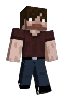 penguinflies Minecraft avatar full body