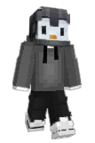 penguintube Minecraft avatar full body