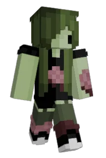 penxjis Minecraft avatar full body