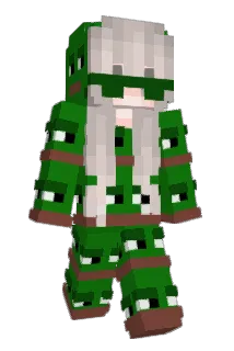 pepe_002 Minecraft avatar full body