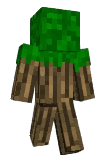 peperinoplis Minecraft avatar full body