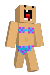 perakon Minecraft avatar full body