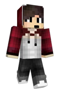 peta1763 Minecraft avatar full body