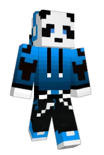 petera123 Minecraft avatar full body