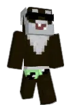 petitegirl Minecraft avatar full body