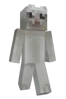 petmyfrog Minecraft avatar full body