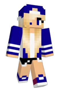 petulka33 Minecraft avatar full body