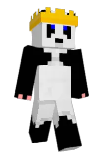 petzkale69 Minecraft avatar full body
