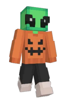 pg_0 Minecraft avatar full body