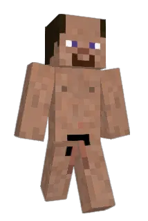 pgaldino Minecraft avatar full body