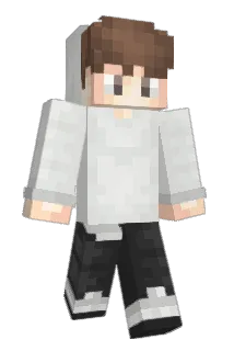 pgamer11 Minecraft avatar full body
