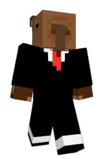 pgates Minecraft avatar full body