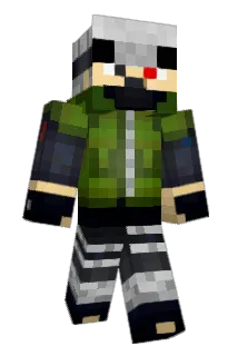 pgsurfer Minecraft avatar full body