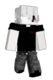 phanntm Minecraft avatar full body