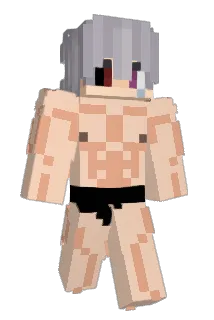 phatzab Minecraft avatar full body