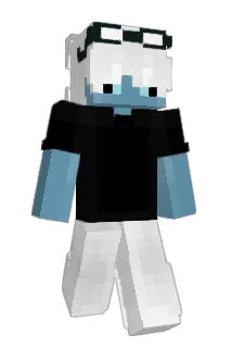 phdinhomework Minecraft avatar full body
