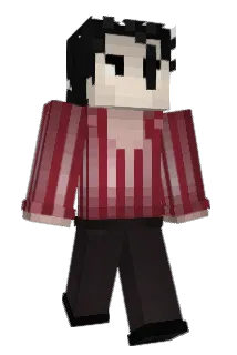 phenexzlol Minecraft avatar full body