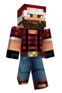 phida31 Minecraft avatar full body