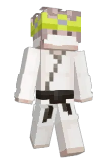 phoenix_sen Minecraft avatar full body