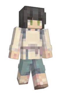 phonect Minecraft avatar full body