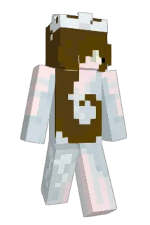 phtmboxx Minecraft avatar full body