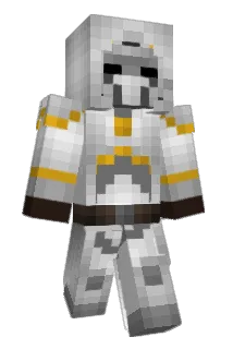 physicianwhich Minecraft avatar full body