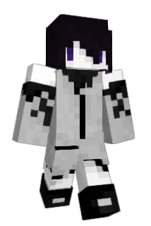 pi1102 Minecraft avatar full body