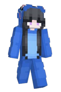 pi4n Minecraft avatar full body