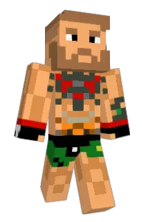 pibardo13 Minecraft avatar full body