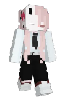 pibiti5 Minecraft avatar full body