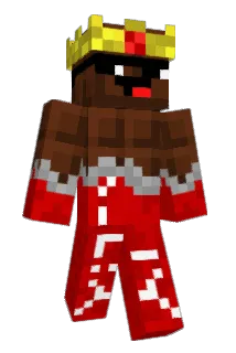picari24 Minecraft avatar full body