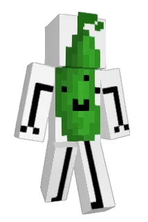 pickleinsoup Minecraft avatar full body