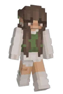 picklesimp Minecraft avatar full body